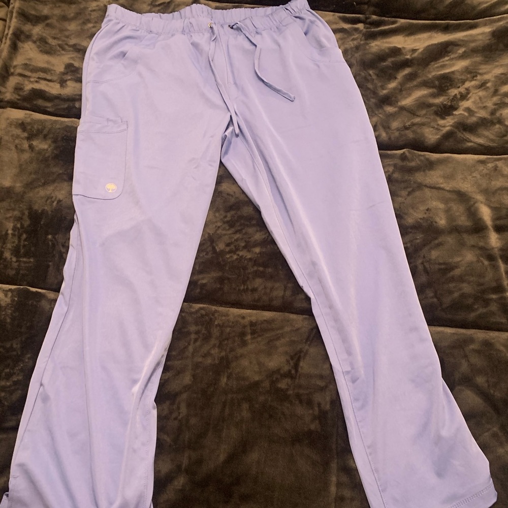 Healing hands light blue scrub pants